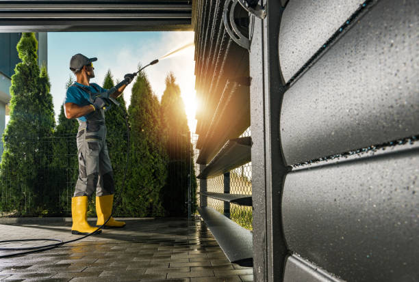 Best Patio and Deck Pressure Washing  in Loyal, WI