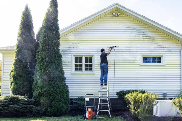 Best Graffiti Removal  in Loyal, WI